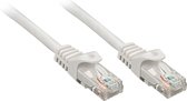 UTP Category 6 Rigid Network Cable LINDY 48401 Grey 1 m 1 Unit