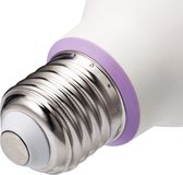2 ST Yeelight YLDP05YL + 2 ST YLDP06YL E27 10 W Smart LED Lampondersteuning Alexa AC100-240V (Xiaomi Ecosysteem Product)