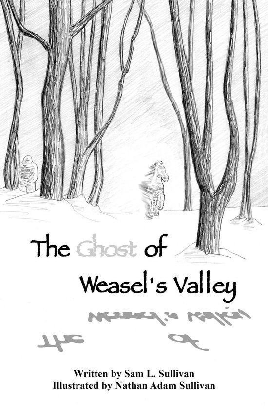 The Ghost of Weasel's Valley - cover