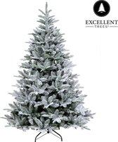 Sapin de Noël Excellent Trees® Otta 150 cm - Version Luxe