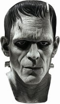 Rubie's Hoofdmasker Frankenstein