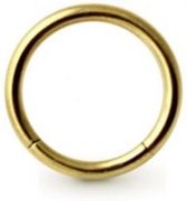 Wenkbrauw piercing segment ring 1.6 mm / 10 mm gold plated ©LMPiercings