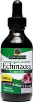 Echinacea Extract 1: 1 Alcohol-free 1470 Mg