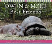 Owen and Mzee Are Friends True