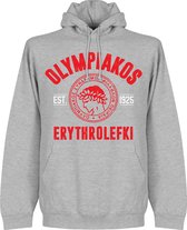 Olympiakos Established Hooded Sweater - Grijs - M