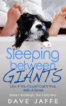 Sleeping between Giants: Life, If You Could Call It That, with a Terrier - Book 1: Budleigh, the Early Year
