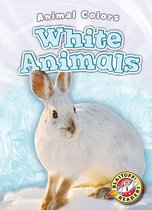 Animal Colors - White Animals