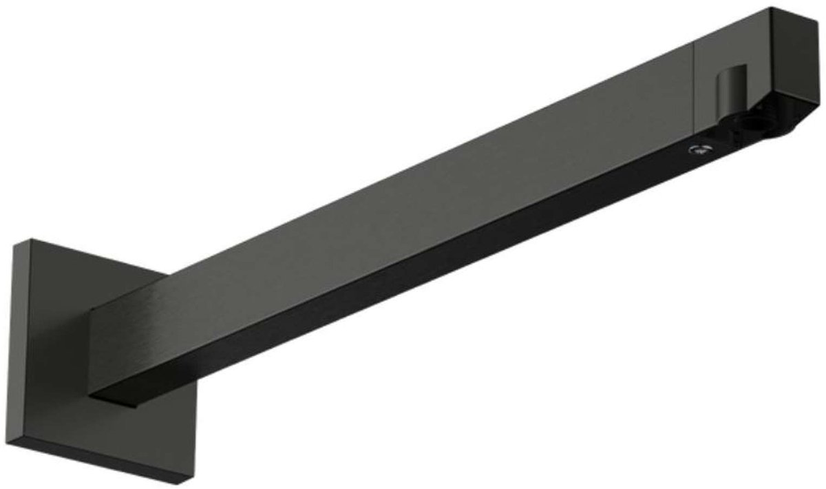 Hansgrohe - Douchearm, 41 cm, geborsteld zwart chroom 24337340