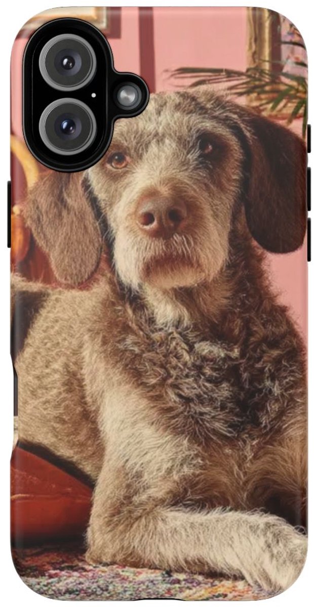 Bruine Hond Ontspant Binnen – Telefoonhoesje Geschikt voor iPhone 16 Plus
