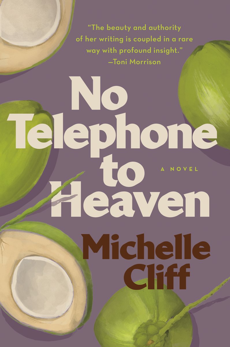 No Telephone To Heaven van Michelle Cliff
