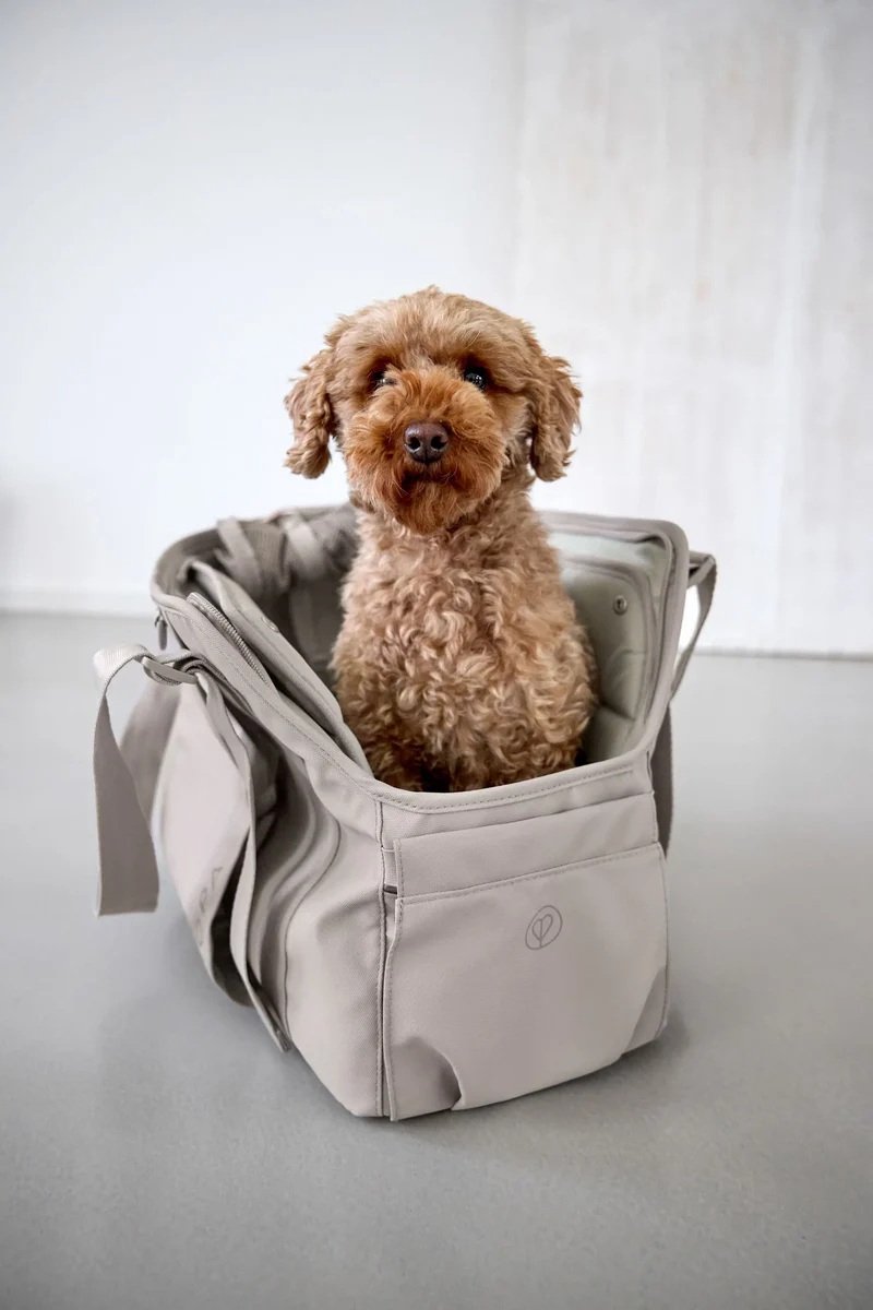 Palopa Draagtas voor de hond Weda - Taupe