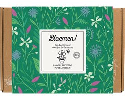 Blossombs Giftbox Small - 7 Zaadbommetjes - Bloemen! - Laagbloeiende Mix - Bloemen Cadeau