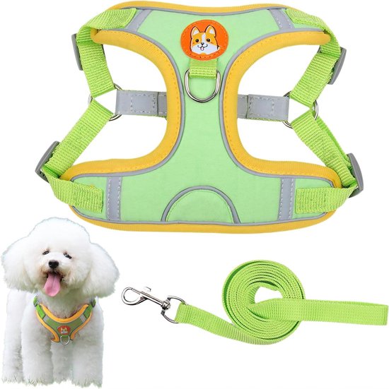 Petsfit Hondentransportbox, draagbaar en opvouwbaar, voor middelgrote en grote honden, geschikt voor binnen en buiten