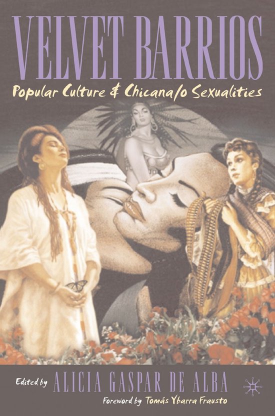 New Directions in Latino American Cultures- Velvet Barrios - cover