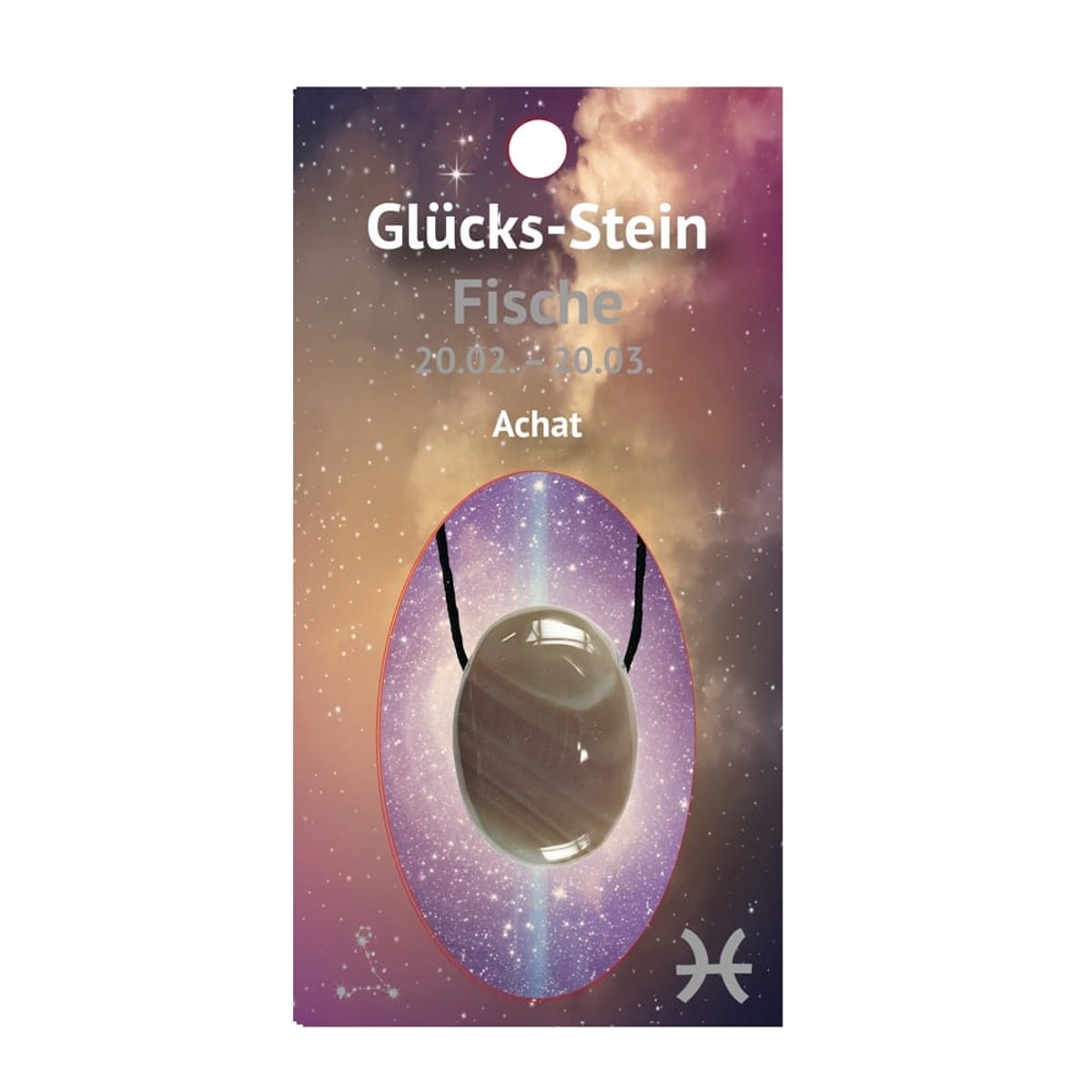 Vissen geluksteen met Agaat