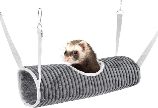 Vind hangmat cavia in Knaagdieren en Konijnen | Toebehoren op