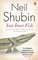 E-book