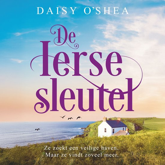 De Ierse sleutel - cover
