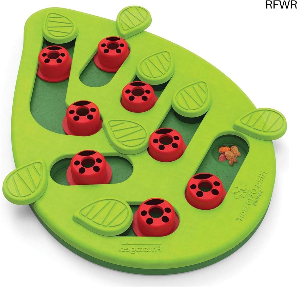 RFWR RFWR® Kattenspel Puzzle & Play voor nieuwsgierige katten