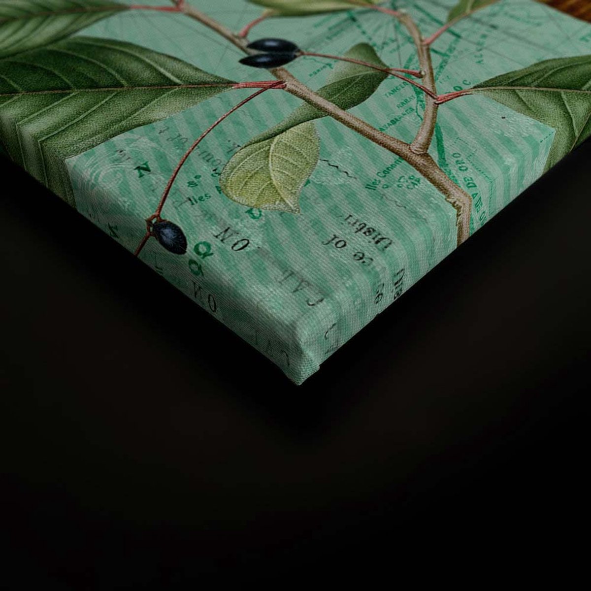 Canvas DD124818 Tropicalparad1 A. S. Création