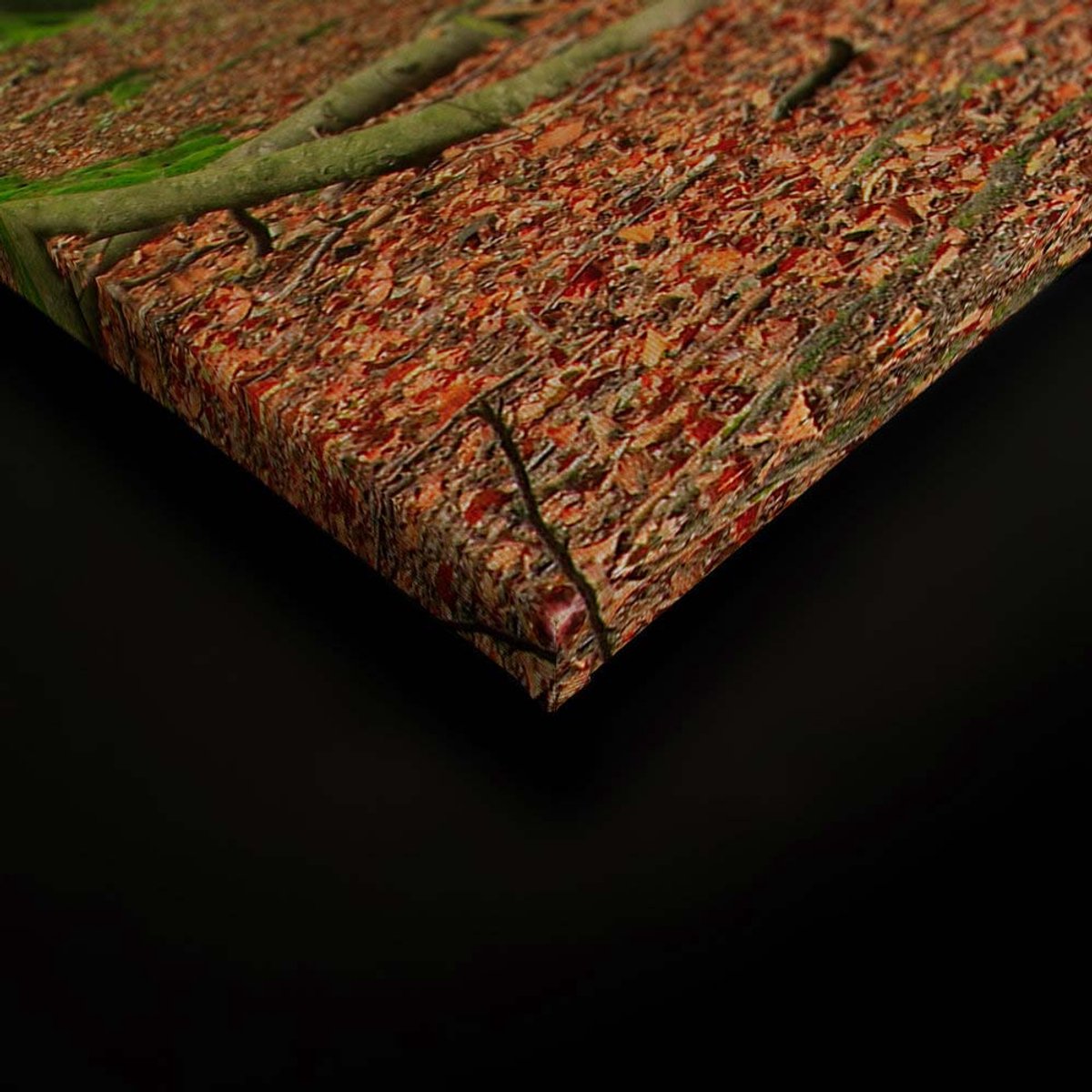 Canvas DD124952 Moosbäume A. S. Création