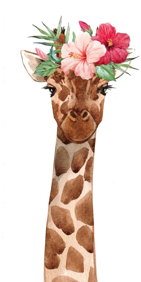 Fototapete Designwalls 2 DD123720 GiraffePortrai