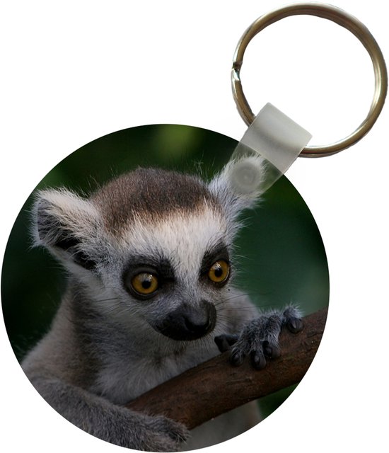 Porte-clés - Animal - Branche - Lémurien à queue annelée - Plastique - Rond - Cadeaux à distribuer