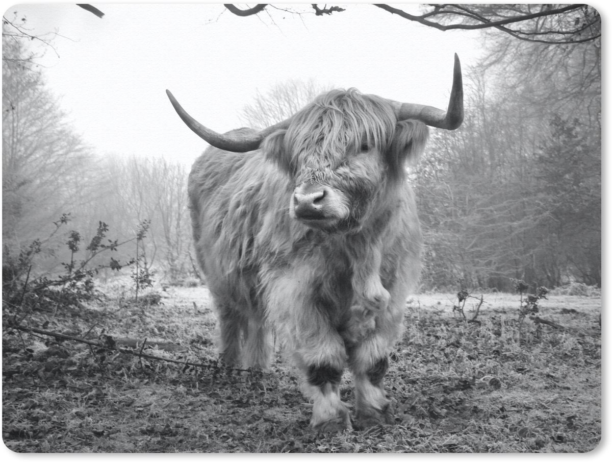 Muismat 23x19 cm - Mousepad Schotse hooglander - Natuur - Herfst - Dieren - Wild - Bos - Muismatten