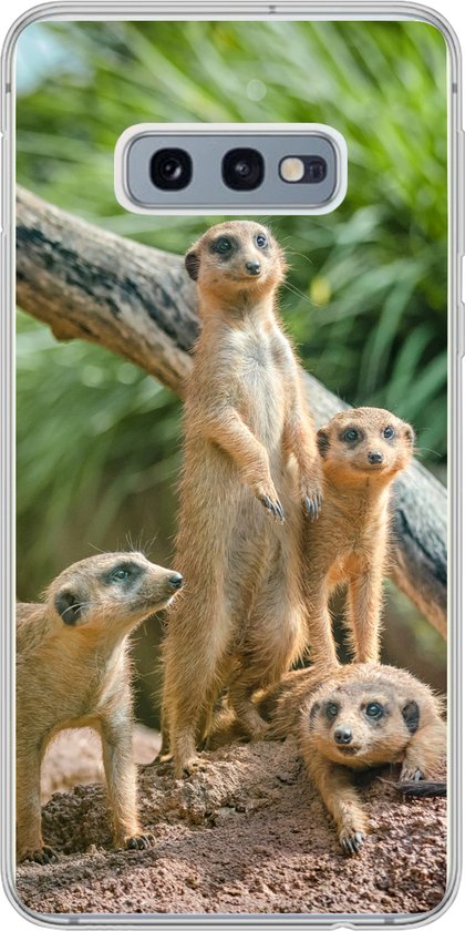 Telefoonhoesje Geschikt voor Samsung Galaxy S10e hoesje - Stokstaartjes - Familie - Dieren - Siliconen Telefoonhoesje Telefoonhoesje