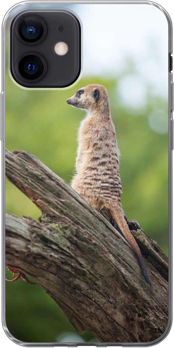 Telefoonhoesje Geschikt voor iPhone 12 hoesje - Stokstaartje - Tak - Boom - Siliconen Telefoonhoesje Telefoonhoesje