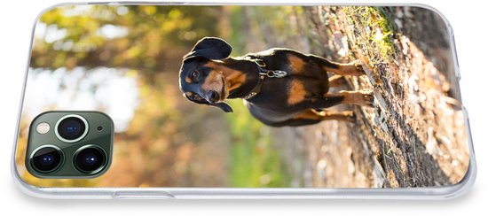 Coque iPhone 11 Pro Max - Un teckel dans la forêt - Coque en Siliconen pour téléphone
