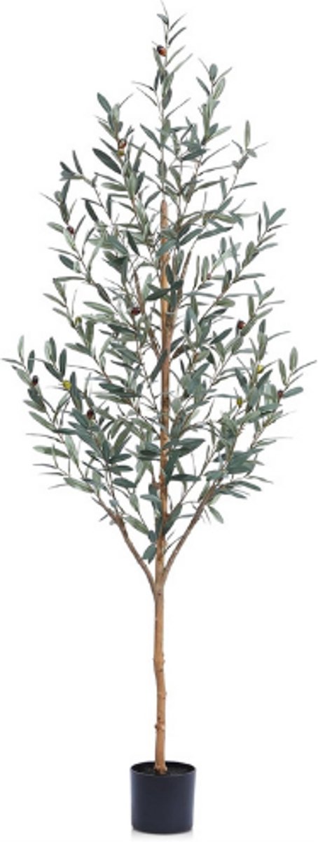 BOG Kunstplant Olijfboom 180cm - Grote Nepplant In Plastic Pot - Hoge Kunstboom Voor Binnen En Buiten - Moderne Woonkamerdecoratie - 1 Stuk GROEN
