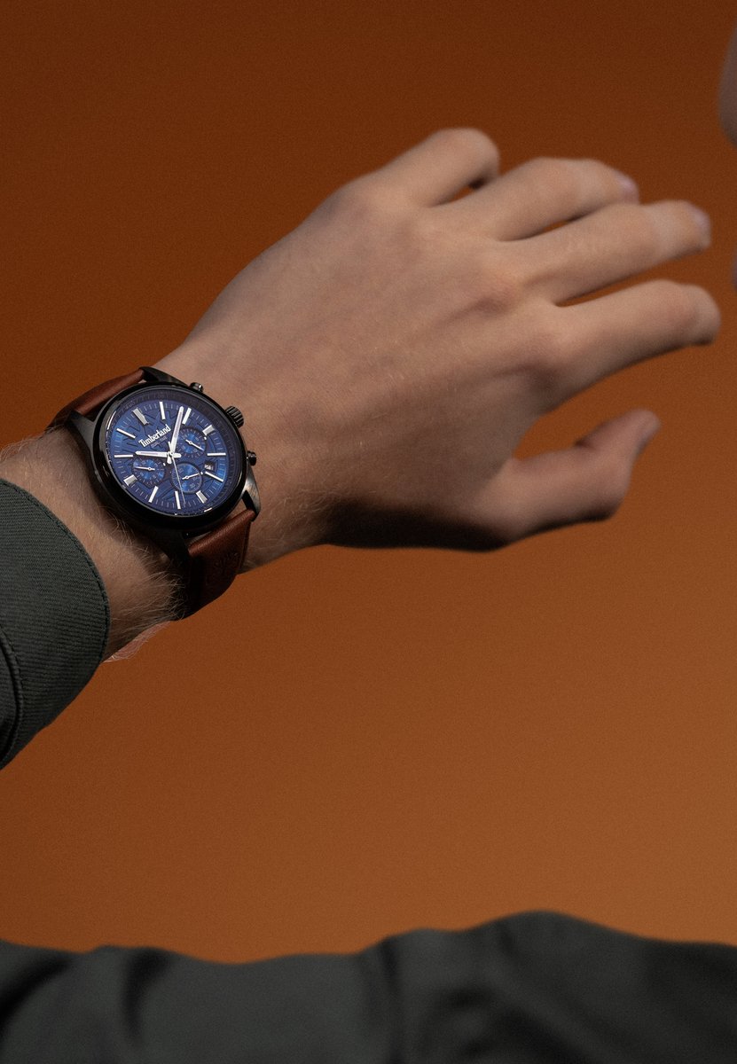 Dual time horloge Northbridge Blue - Brown