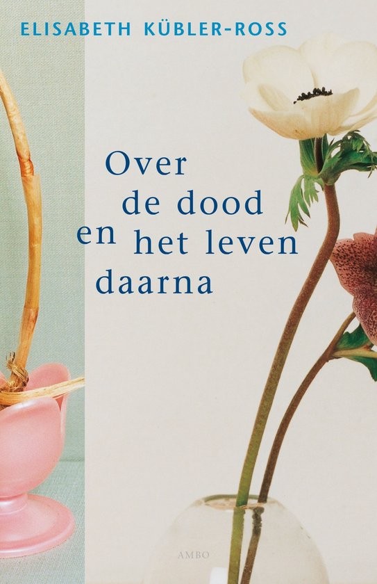 Over de dood en het leven daarna - cover
