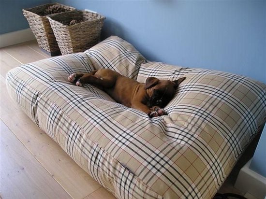 Dog's Companion - Hondenbed Country Field - XS - 55 x 45 cm