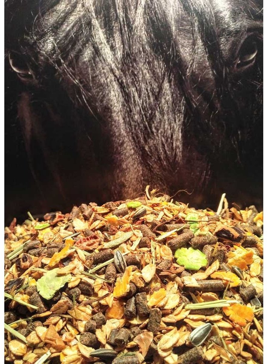 Eohippos Black Type 2.0 | 20 kg