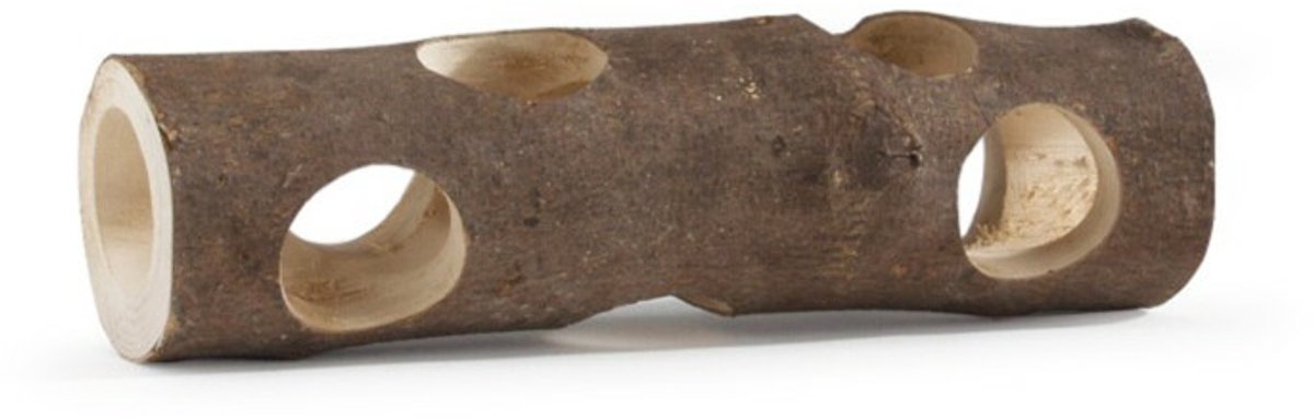 Forest – holle boomstam – 15×32