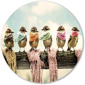 Oiseaux mignons avec foulards colorés - Peinture Vogels ronde - Objet mural foulards ronds - Mouvement artistique réaliste - Cercle mural Forex personnalisé - Mobilier de bureau élégant - Cercle mural Forex 70x70 cm