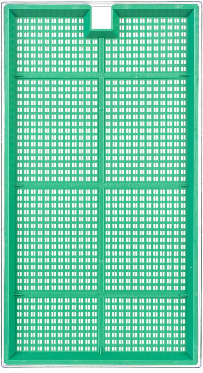 Clion sprouter groot 27 x 15 cm groen