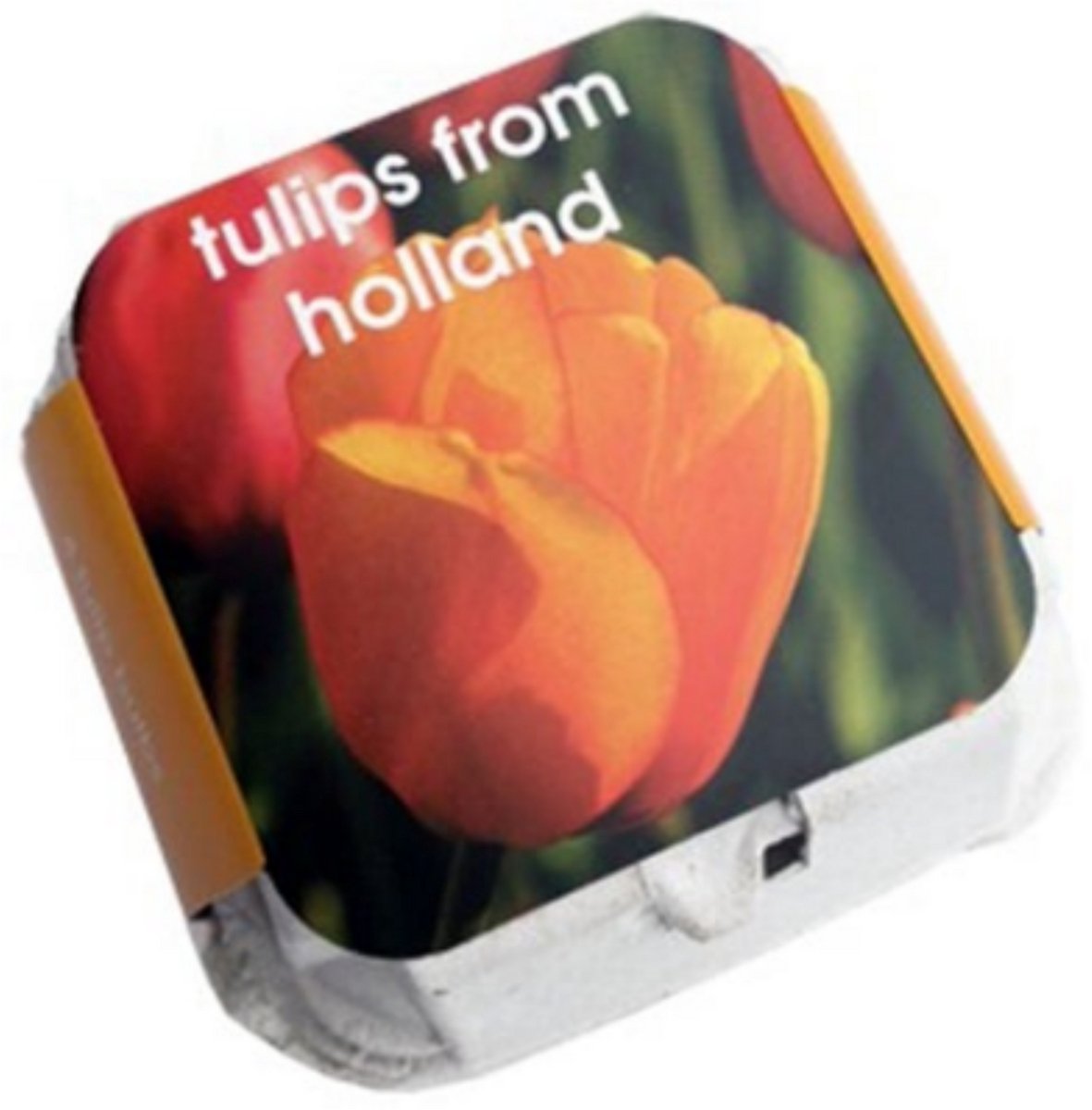 Tulpenbollen - Oranje - 4 stuks