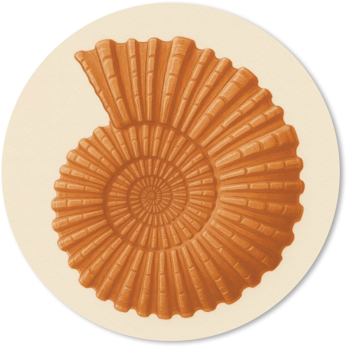 Muismat rond 30x30 cm - Mousepad Schelp - Oranje - Ribbels - Ronde muismatten