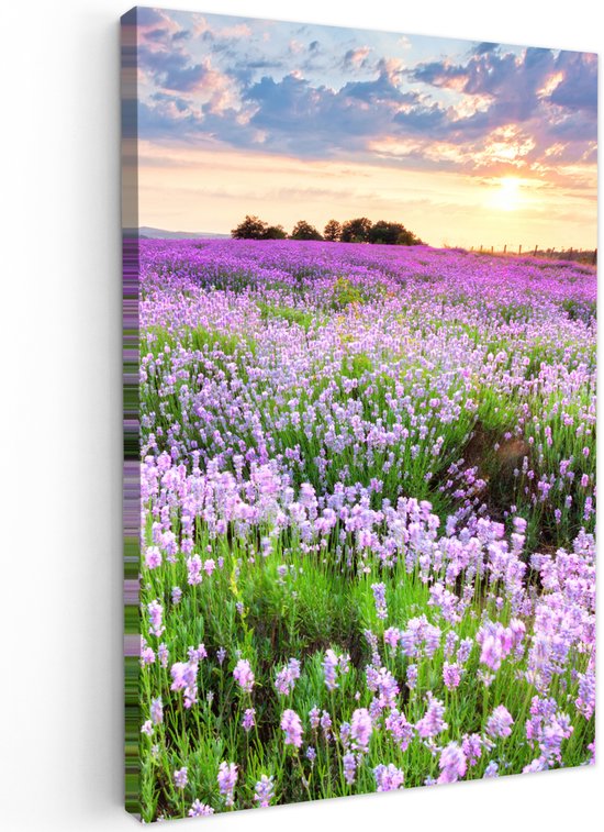 Tuinschilderij voor buiten 60x90 cm - Tuindecoratie Bloemen - Lavendel - Paars - Lucht - Zonsondergang - Weide - Natuur - Tuinposter op canvas - Tuin muurdecoratie - Buitenschilderij decoratie - Schutting wanddecoratie - Buitencanvas