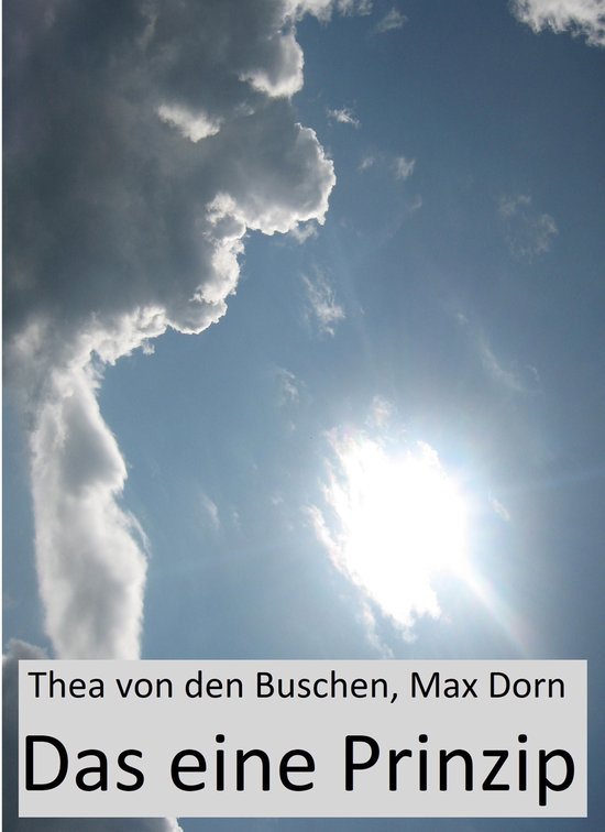 Theorie und Praxis 1 - Das eine Prinzip - cover