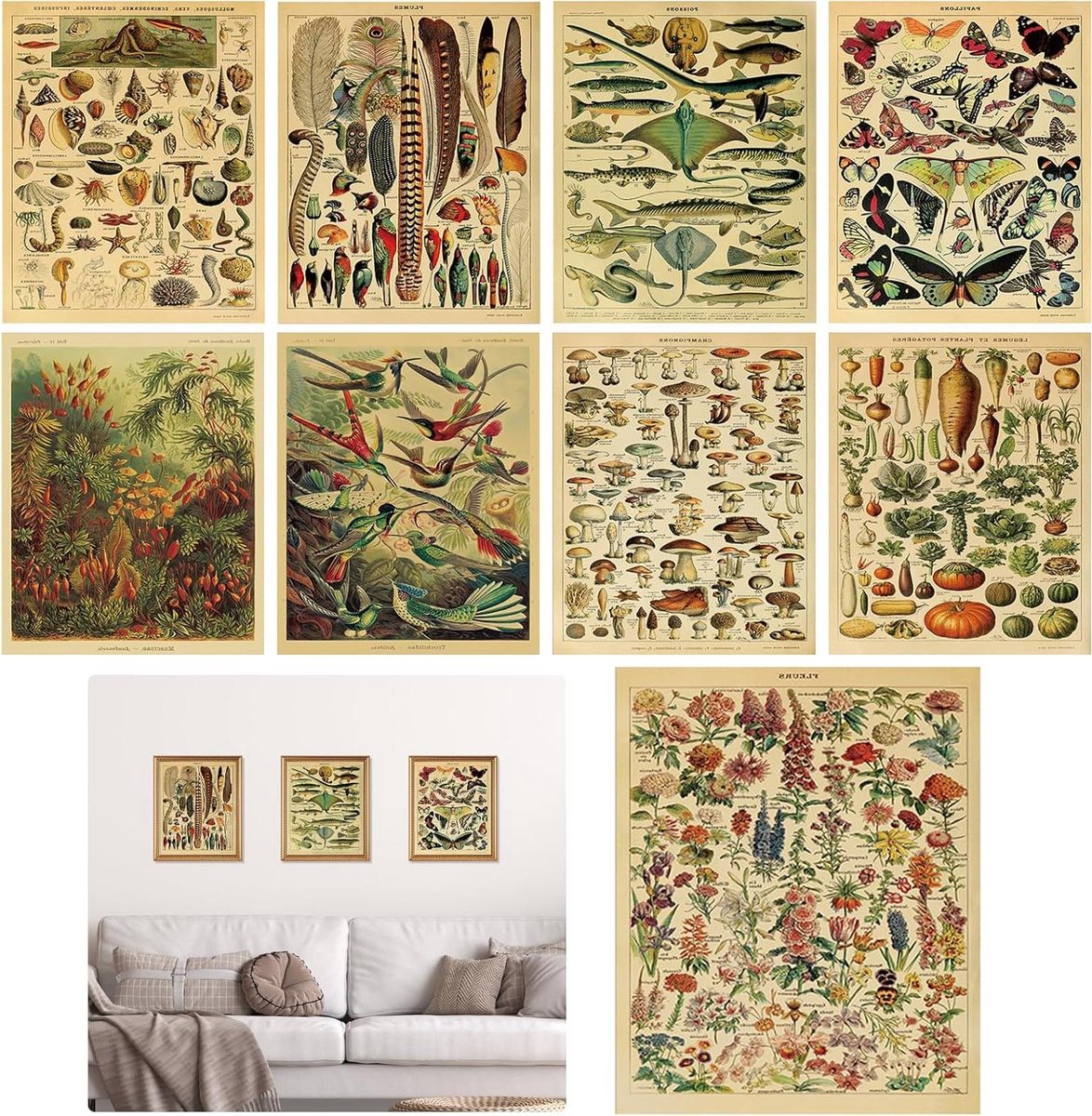 ByShane - Vintage botanische poster set vlinders en bloemendiagrammen - 9 stuks educatief pakket voor decoratie in woon- en slaapkamer - 20 x 25 cm - zonder lijst