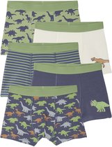 Vertbaudet Set van 5 boxershorts voor jongens met dinosaurussen