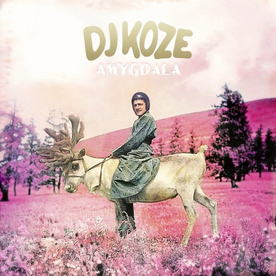DJ Koze - Amygdala (2 LP)
