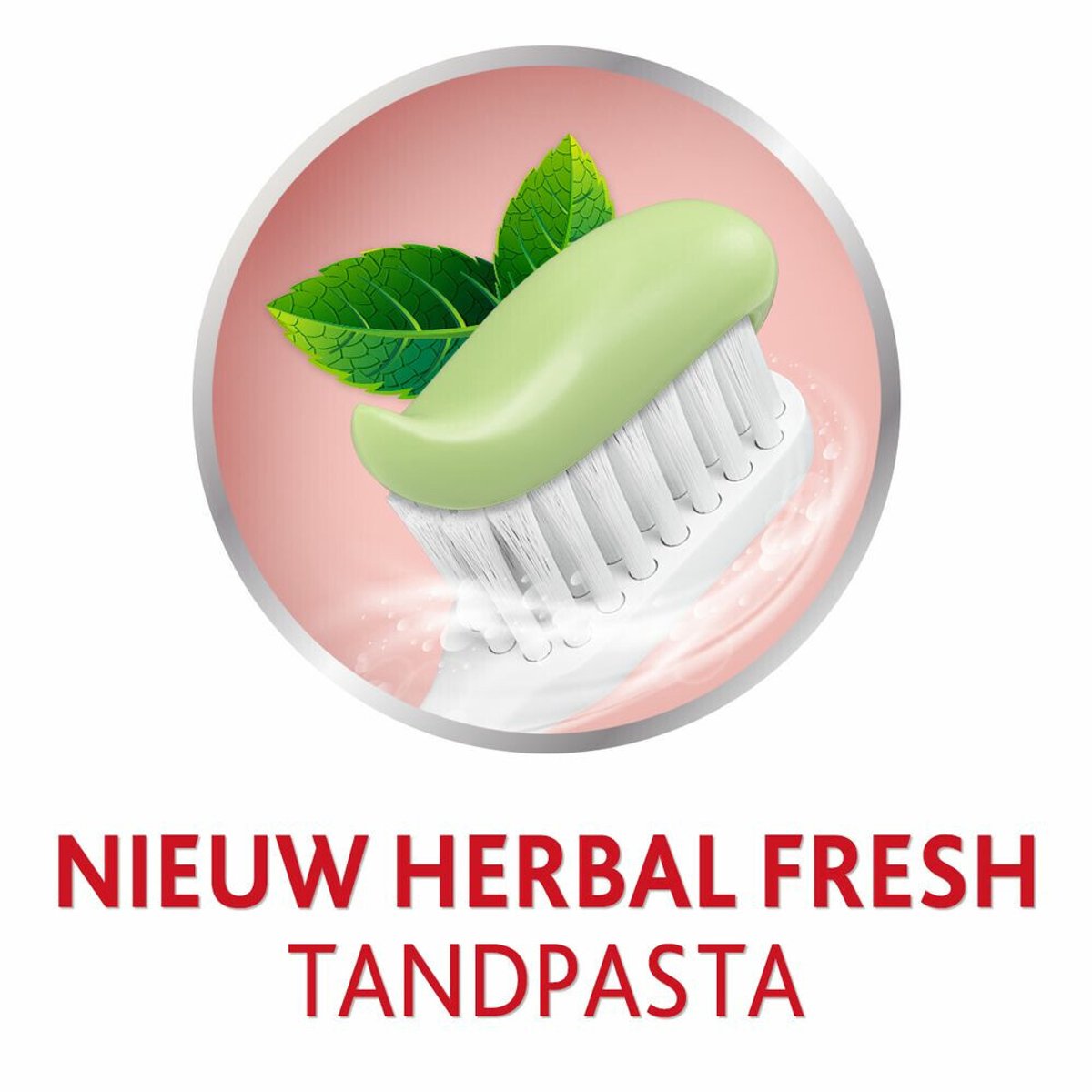 Parodontax Tandpasta Herbal Fresh - 6 x 75 ml - Voordeelverpakking