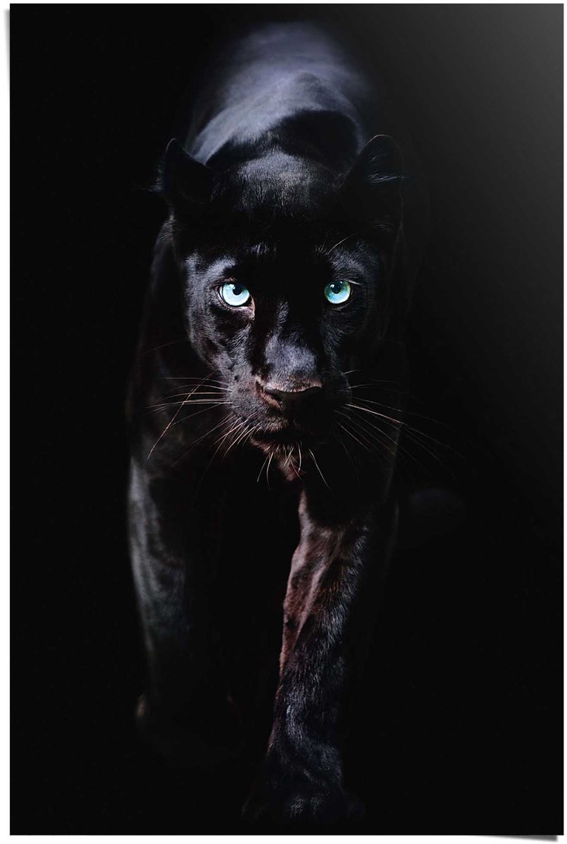 Reinders Poster Black Panther - 91,5 x 61 - Papier - REINDERS