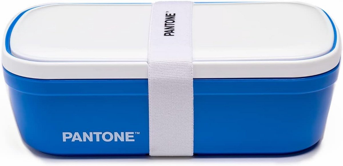 Bento lunchbox met scheidingswand, geschikt voor kantoor en school, blauw