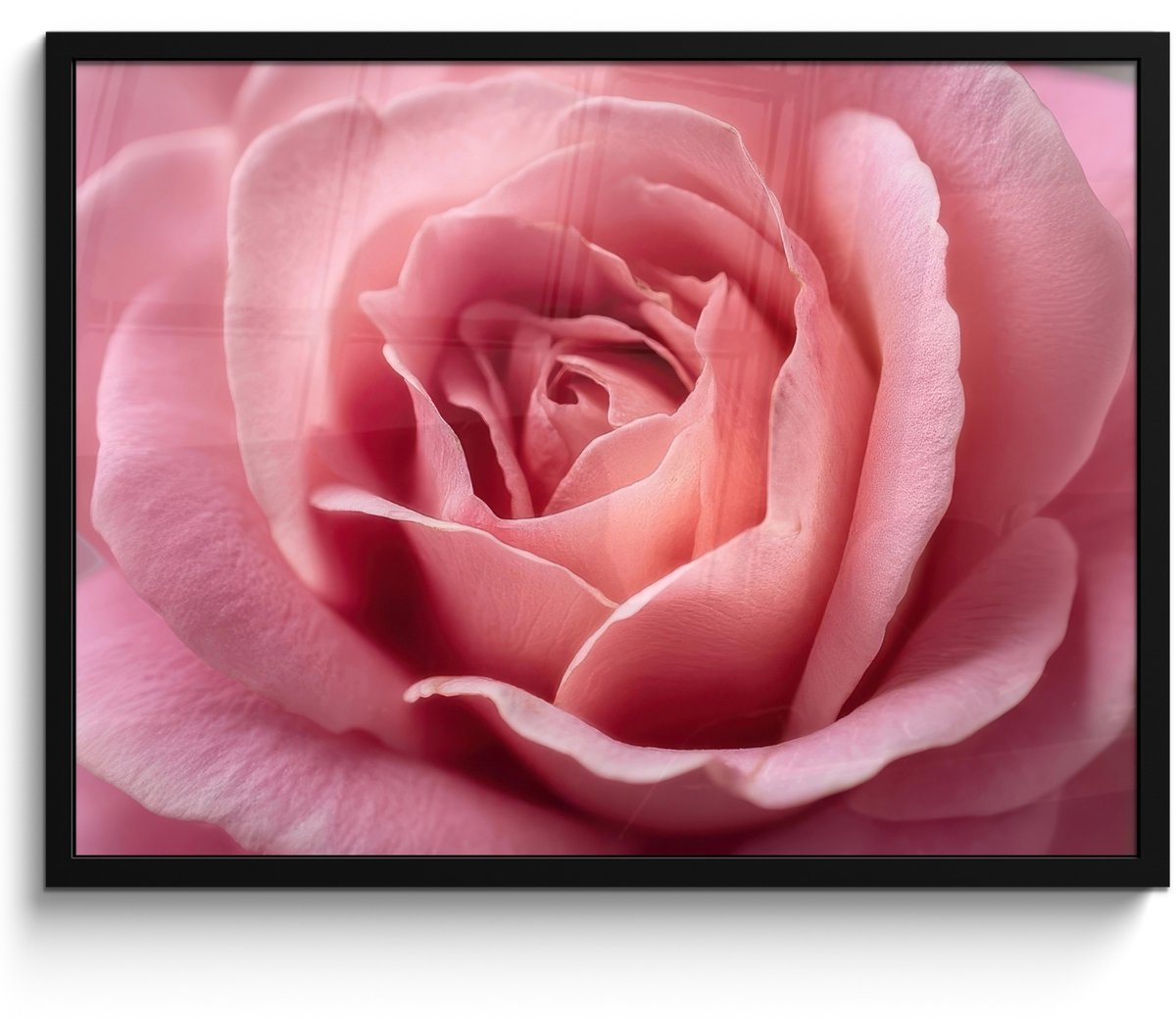 FrameYourWall Poster in lijst - Fotolijst 70x50 cm - Posters - Roze - Roos - Romantisch - Posterlijst zwart - Decoratie - Wanddecoratie woonkamer - Muurdecoratie slaapkamer